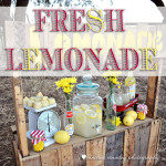 Andrea Crawleys Lemonade Stand r