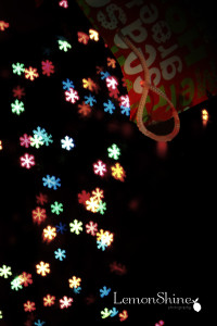 Snowflake bokeh LOGO3